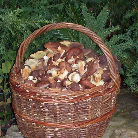 Kukla