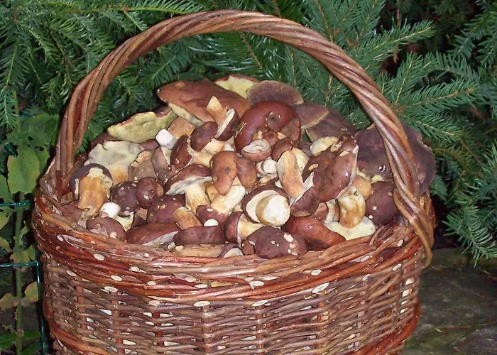 Kukla